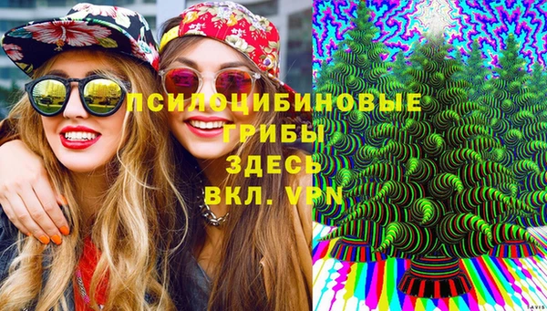 меф Няндома