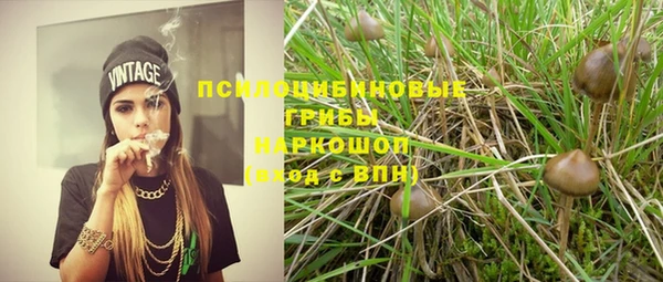 меф Няндома