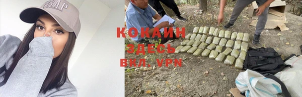 меф Няндома