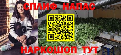 марки nbome Бийск