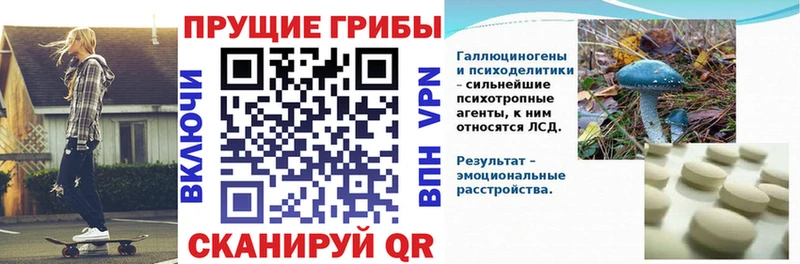Псилоцибиновые грибы GOLDEN TEACHER Бахчисарай
