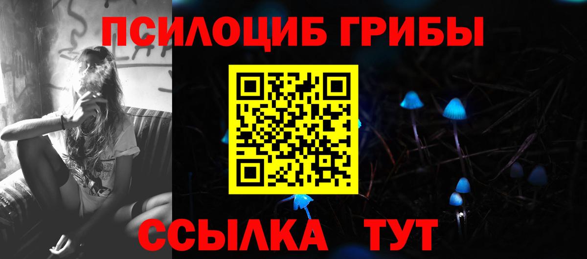 Бахчисарай  Галлюциногенные грибы MAGIC MUSHROOMS  Вход с VPN 